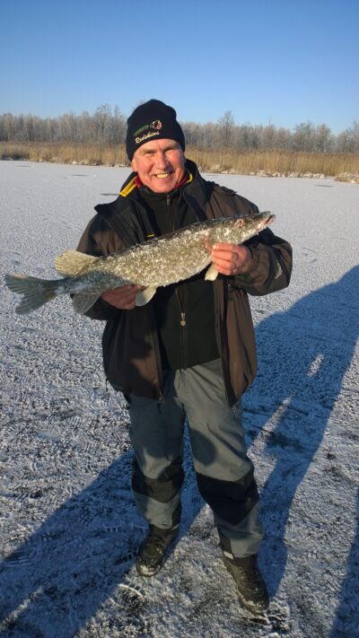 Lydeka, 3,6 kg — Lėnas