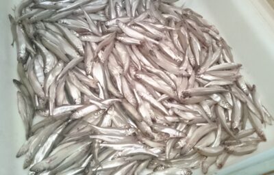 Stinta, 7,2 kg — Smeltalė