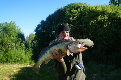 Starkis, 5,2 kg
