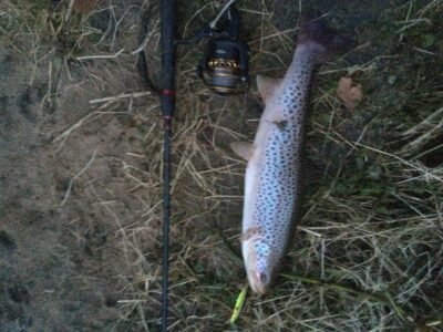 Upėtakis, 1,4 kg — River Don