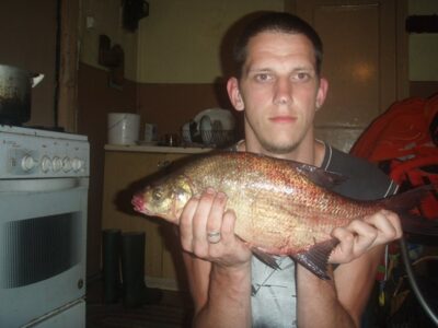 Karšis, 1,2 kg — Lipšys