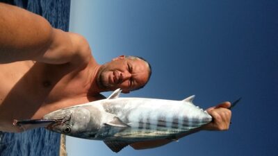 , 2,8 kg — Viduržemio jūra