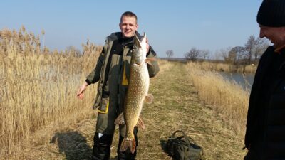 Lydeka, 9,2 kg