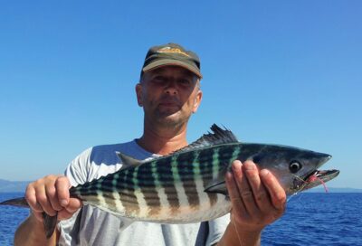 , 2,2 kg — Viduržemio jūra