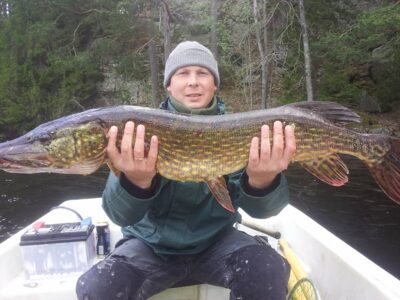 Lydeka, 8,4 kg