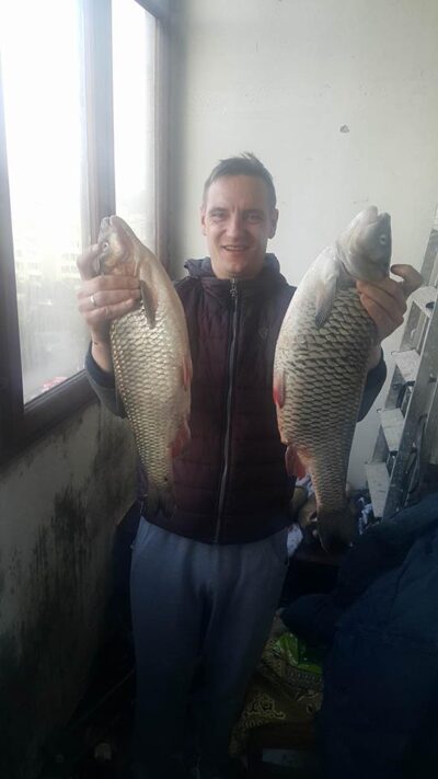 šapalas, 2,8 kg