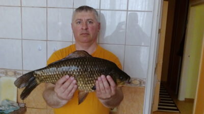 Sidabrinis karosas, 2,2 kg — Poškonių