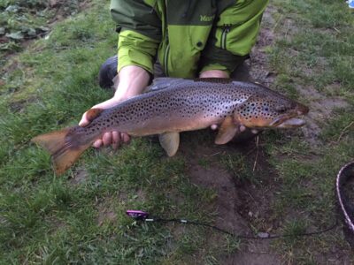 Upėtakis, 2,8 kg