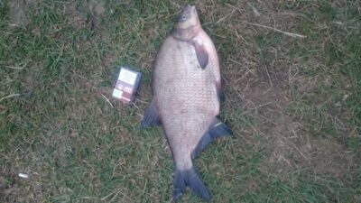 Karšis, 2,5 kg — Nemunas