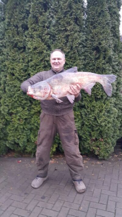 Baltasis plačiakaktis, 9,8 kg — Ramučių