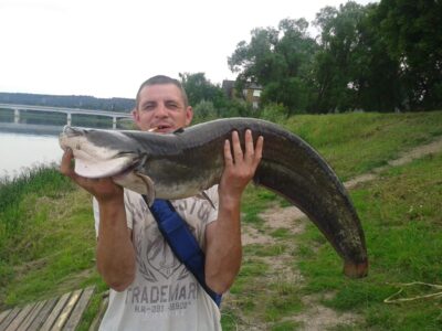 šamas, 9,5 kg