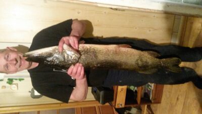 Lydeka, 8,5 kg — Rašai