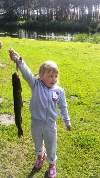 Lydeka, 1,8 kg