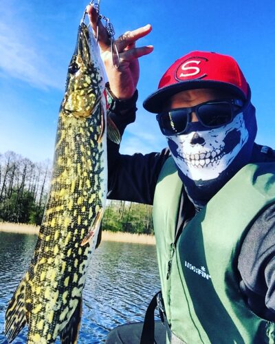 Lydeka, 1,7 kg — Stirniai