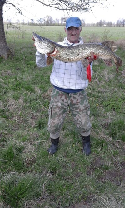 Lydeka, 10,7 kg — Minija