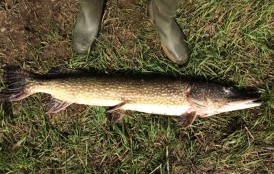 Lydeka, 6,8 kg — Nemunas
