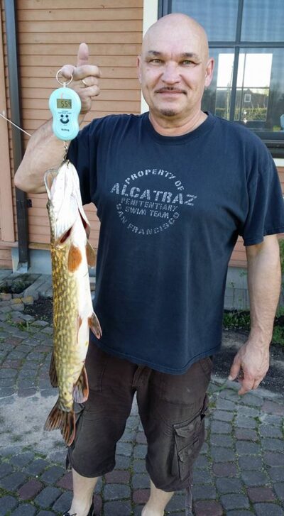 Lydeka, 5,5 kg