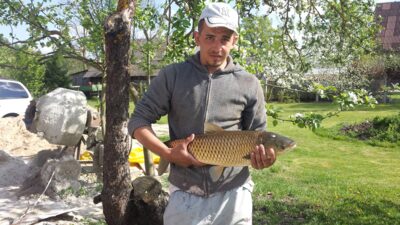 Baltasis amūras, 8,5 kg