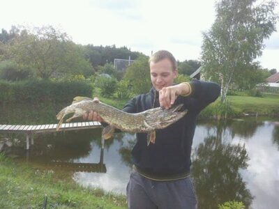 Lydeka, 2,5 kg