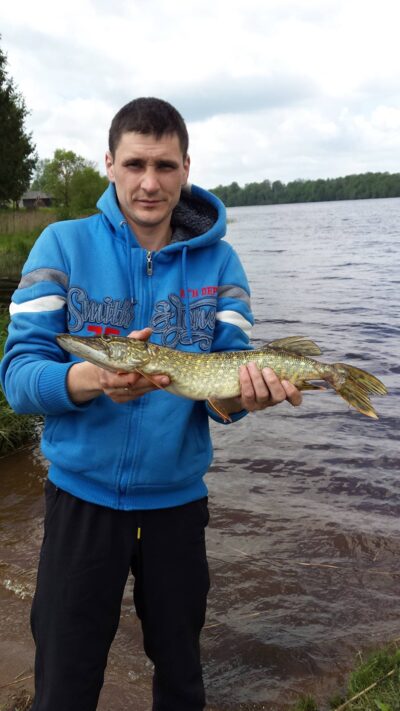 Lydeka, 1,0 kg — Balskų