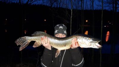 Lydeka, 6,0 kg