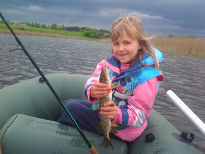Lydeka, 0,3 kg