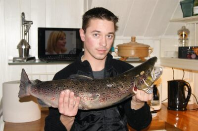 Atlantinė lašiša, 4,0 kg