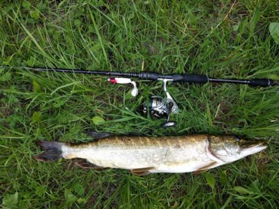Lydeka, 1,7 kg — Strėva
