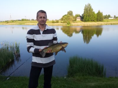 Lynas, 1,6 kg — Gulbinų