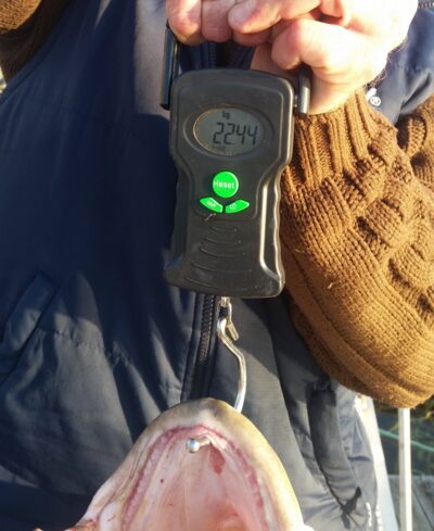 Menkė, 22,4 kg