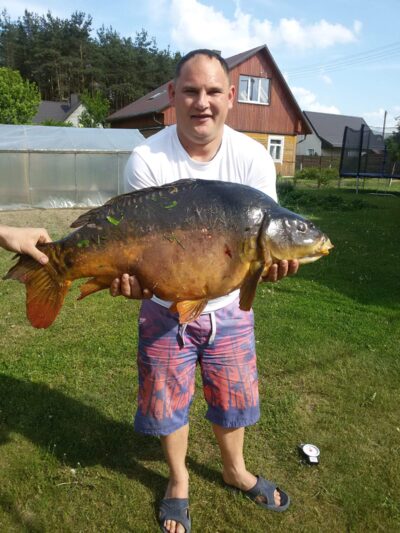 Paprastasis karpis, 15,0 kg