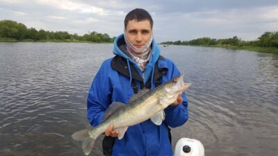 Starkis, 1,5 kg — ATMATA