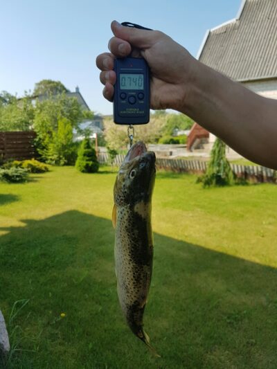 Upėtakis, 0,7 kg