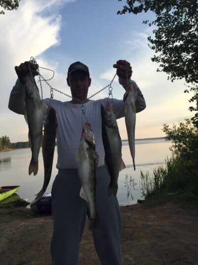 Starkis — Kauno marių