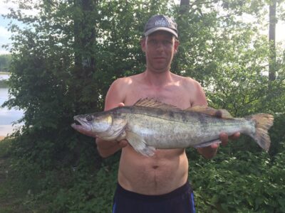Starkis, 3,3 kg — Kauno marių