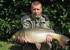 Paprastasis karpis, 4,0 kg