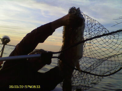 , 3,6 kg — Lake Erie