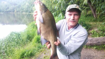 Karšis, 2,7 kg — Neris