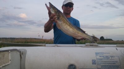 Starkis, 4,4 kg