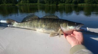 Starkis, 2,0 kg — ATMATA