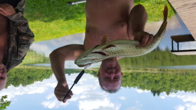 Lydeka, 2,3 kg