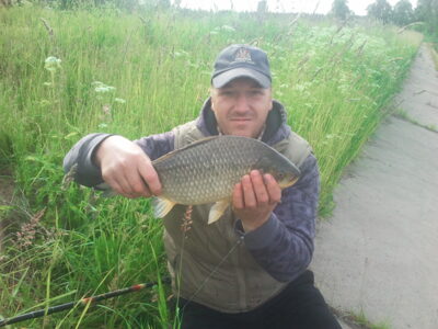 Sidabrinis karosas, 1,5 kg