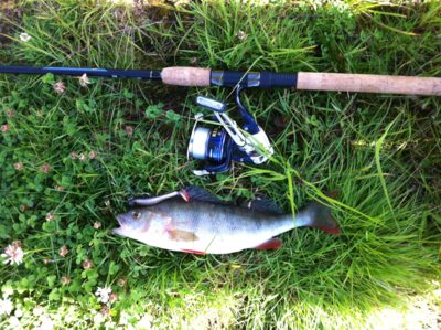 Ešerys, 0,5 kg — Glomma