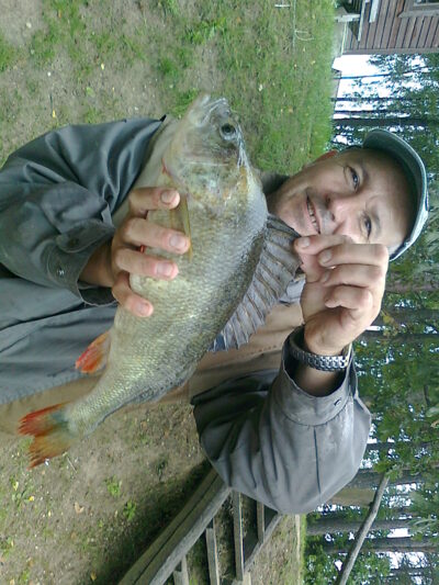 Ešerys, 1,9 kg