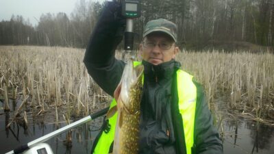 Lydeka, 1,8 kg — Padvarių