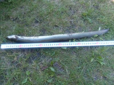 Ungurys, 0,4 kg — Sujainių