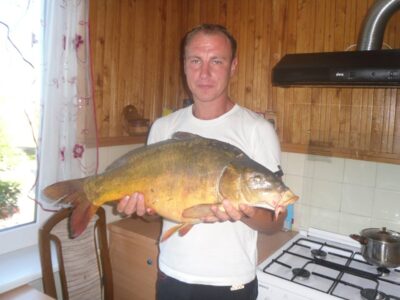 Paprastasis karpis, 5,9 kg — Baisogalos II-asis