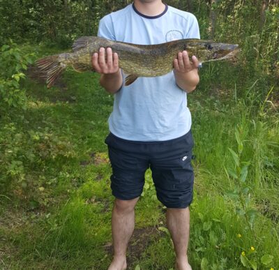 Lydeka, 4,0 kg — Dūkštas