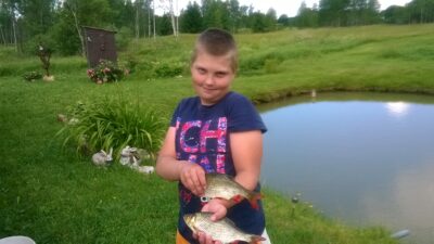 Paprastoji raudė, 0,3 kg