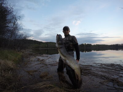 Lydeka, 11,0 kg